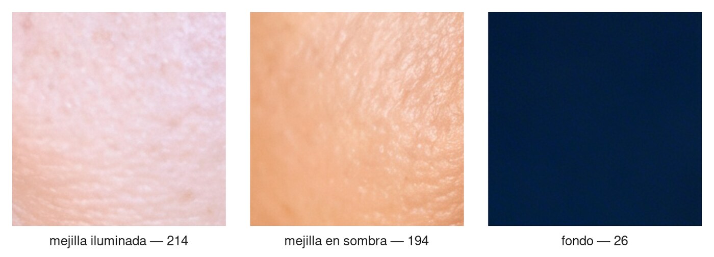 Tres parches cuadrados recortados de la misma fotografía y puestos en fila. El primero es piel de la mejilla del lado iluminado, con el valor 214. El segundo es piel de la mejilla del lado en sombra, con el valor 194: se ve claramente más cálida y anaranjada, pero no más oscura. El tercero es el fondo azul marino, con el valor 26.